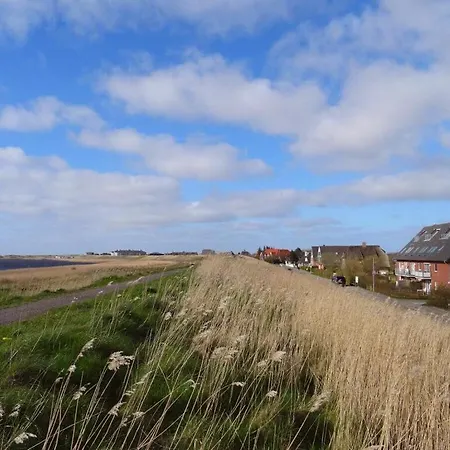 Eerste Rij Aan Het Strand - Spo Böhl